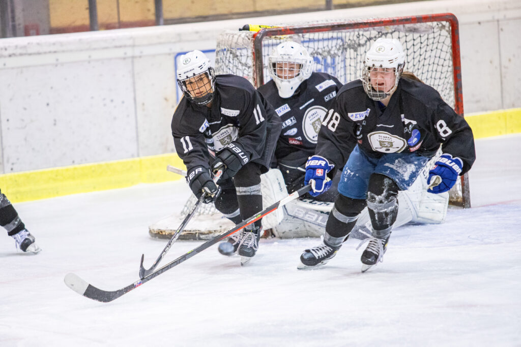 LAKERS-KAeRNTEN-VS-graz-huskies-ewhl-52-von-56-1024x683