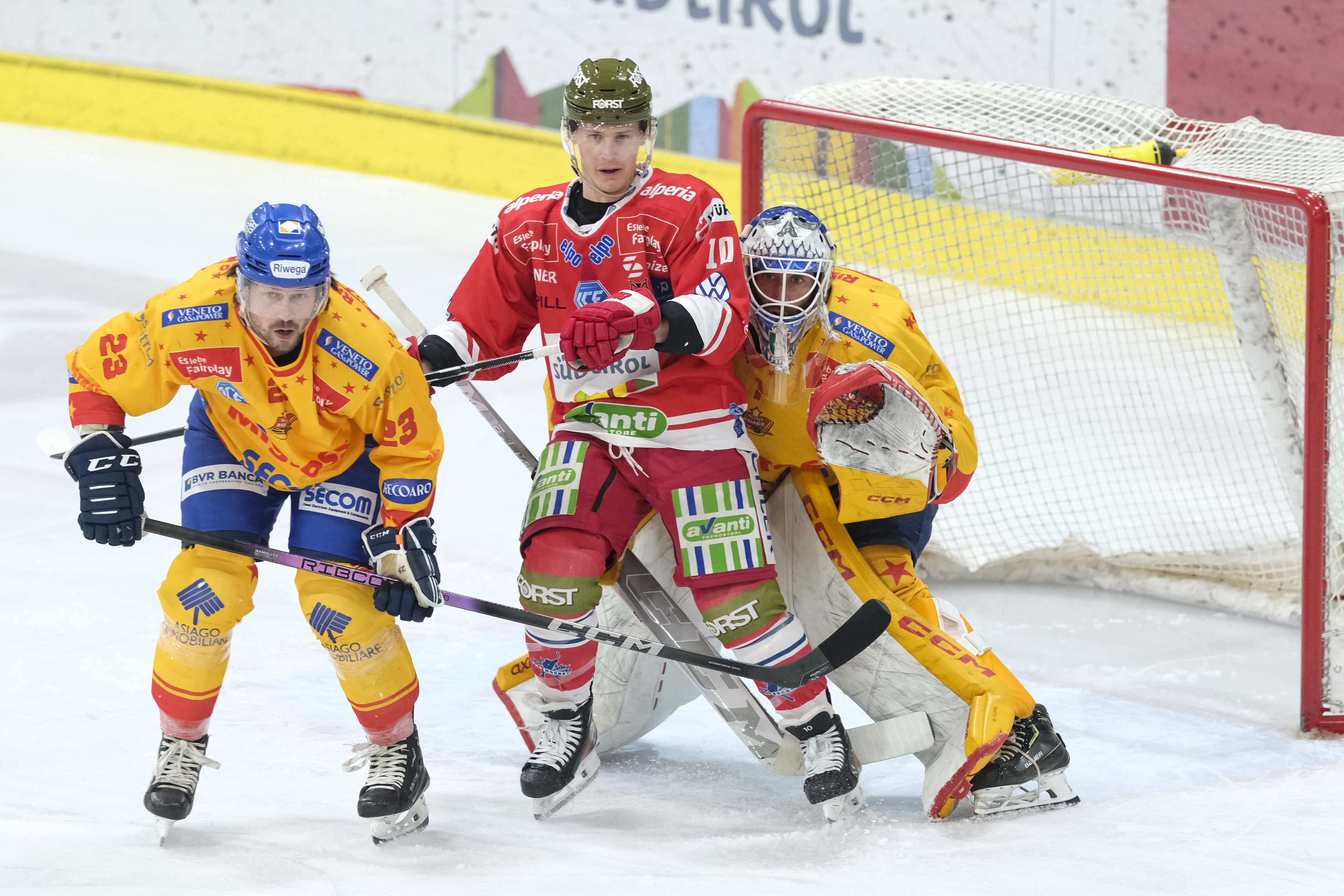 PH-HCBFOXES-HCB-vs-ASH