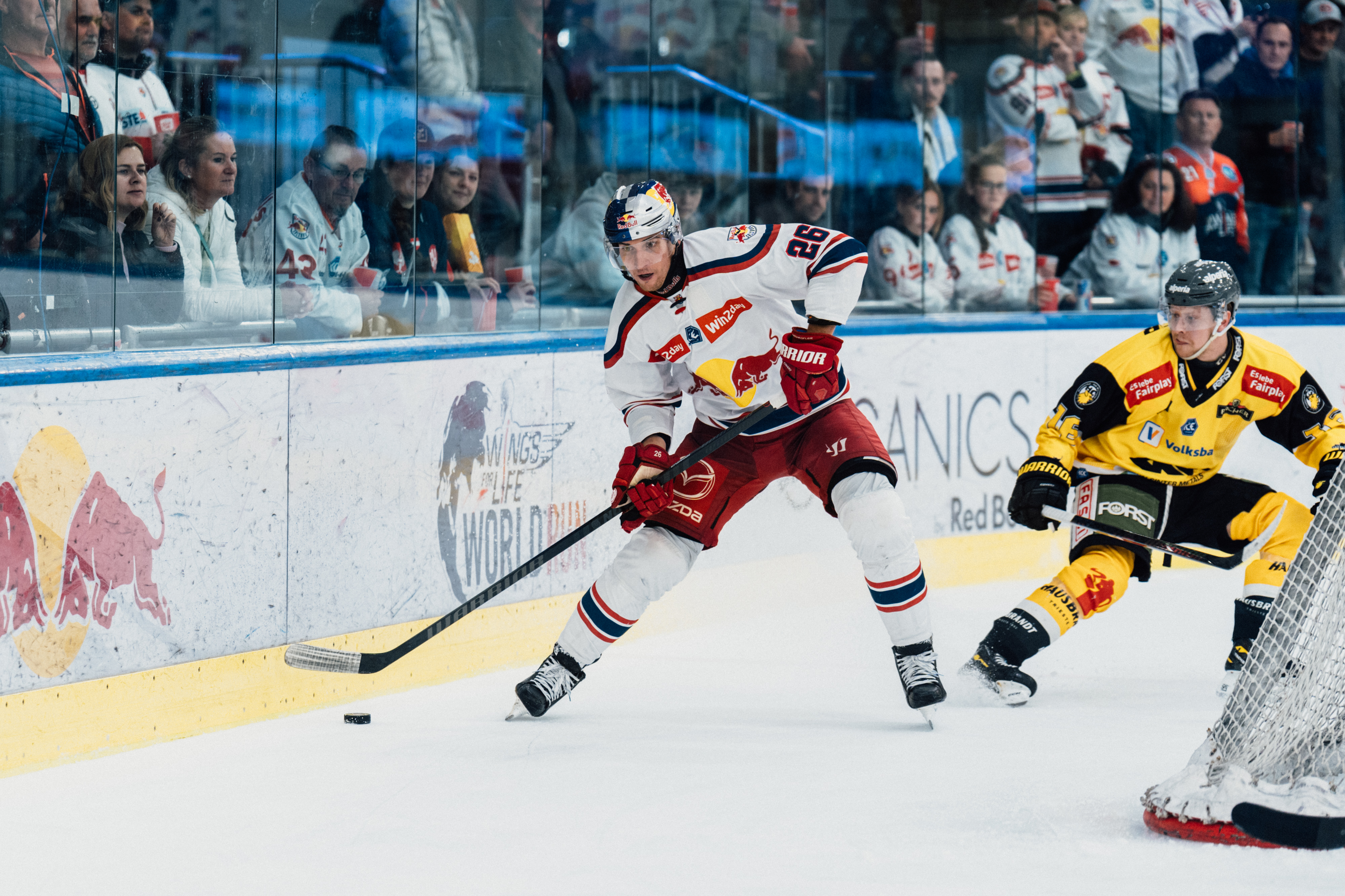 ICE Hockey League: EC Red Bull Salzburg vs. HC Pustertal Wölfe