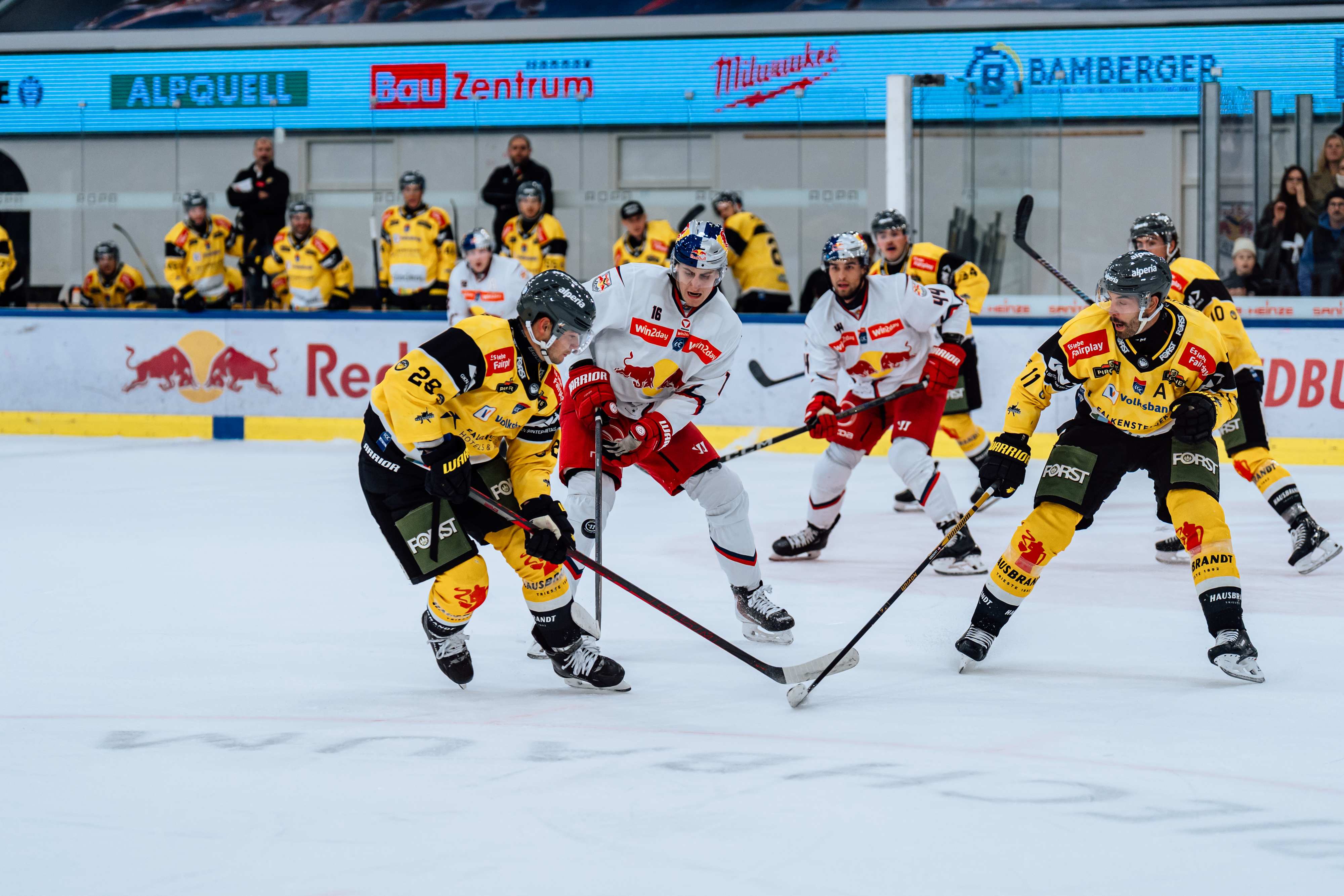 ©EC Red Bull Salzburg/Manuel Mackinger